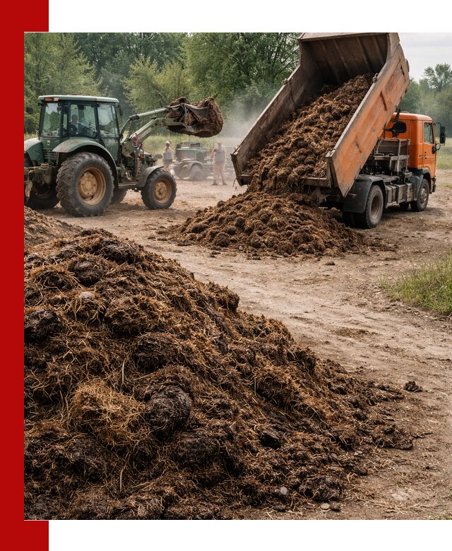 Доставка навоза самосвалами в Пугачёве для сельхозпотребностей